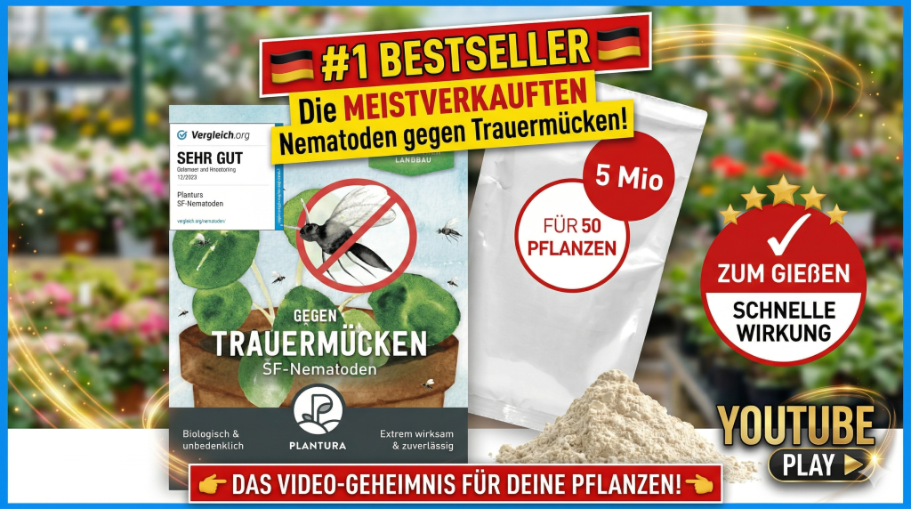 Plantura SF-Nematoden gegen Trauermücken - #1 Bestseller - 5 Mio. Nützlinge für ca. 50 PflanzenEffektive Hilfe gegen Trauermücken – 100% Biologisch & Sicher